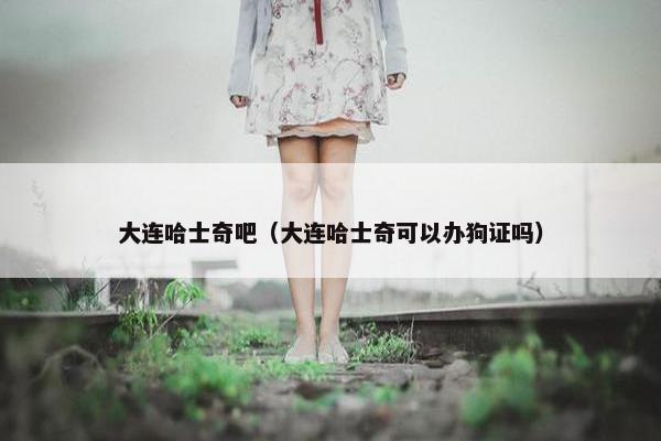 大连哈士奇吧（大连哈士奇可以办狗证吗）