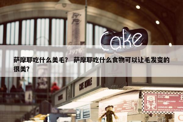 萨摩耶吃什么美毛？ 萨摩耶吃什么食物可以让毛发变的很美？