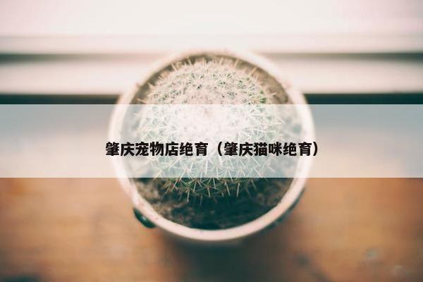 肇庆宠物店绝育（肇庆猫咪绝育）