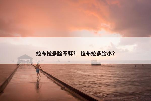 拉布拉多脸不胖？ 拉布拉多脸小？