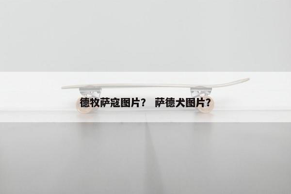 德牧萨寇图片？ 萨德犬图片？