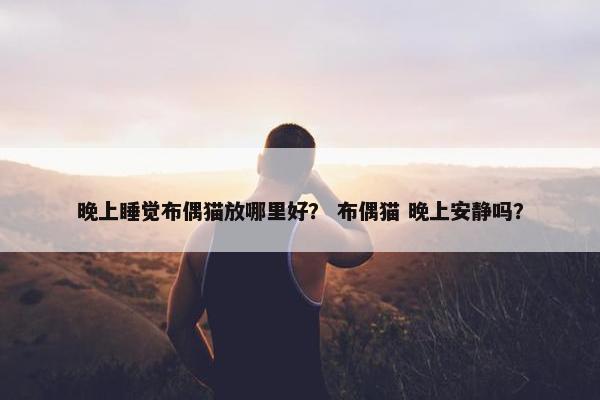 晚上睡觉布偶猫放哪里好？ 布偶猫 晚上安静吗？