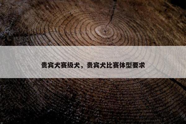 贵宾犬赛级犬，贵宾犬比赛体型要求