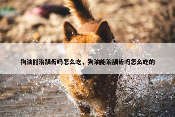 狗油能治龋齿吗怎么吃，狗油能治龋齿吗怎么吃的