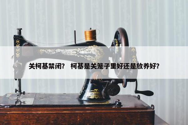 关柯基禁闭？ 柯基是关笼子里好还是放养好？