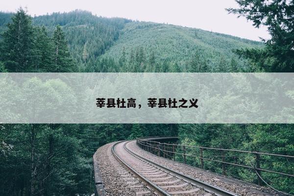 莘县杜高，莘县杜之义