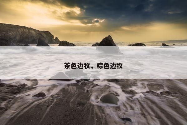 茶色边牧，粽色边牧