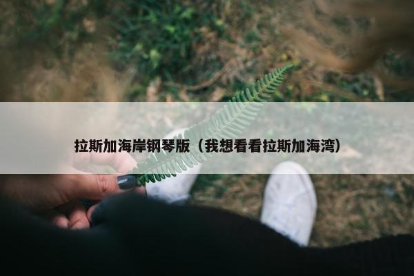 拉斯加海岸钢琴版（我想看看拉斯加海湾）