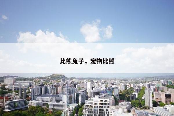比熊兔子，宠物比熊