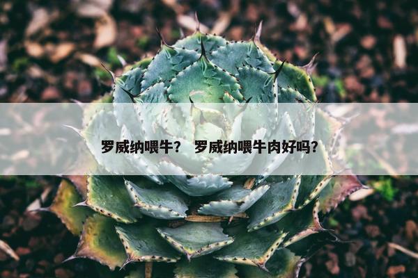 罗威纳喂牛？ 罗威纳喂牛肉好吗？