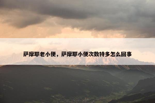 萨摩耶老小便，萨摩耶小便次数特多怎么回事