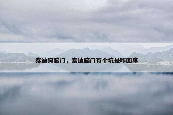 泰迪狗脑门，泰迪脑门有个坑是咋回事