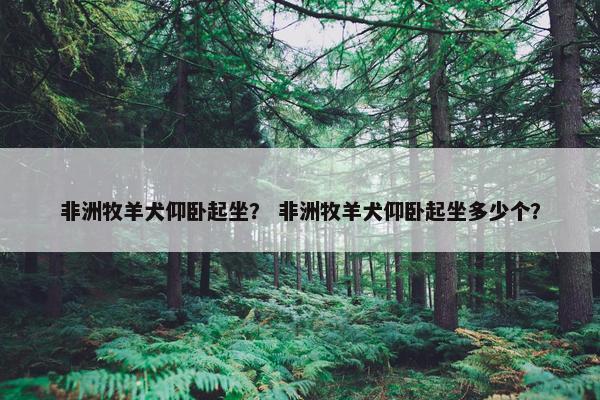 非洲牧羊犬仰卧起坐？ 非洲牧羊犬仰卧起坐多少个？
