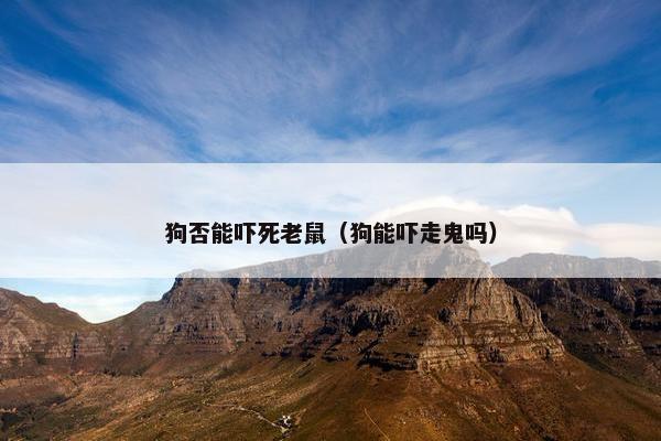 狗否能吓死老鼠（狗能吓走鬼吗）