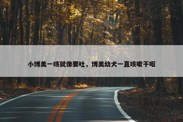 小博美一咳就像要吐，博美幼犬一直咳嗽干呕