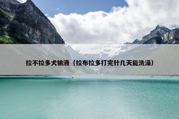 拉不拉多犬输液（拉布拉多打完针几天能洗澡）