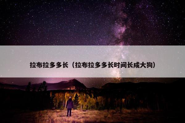 拉布拉多多长（拉布拉多多长时间长成大狗）