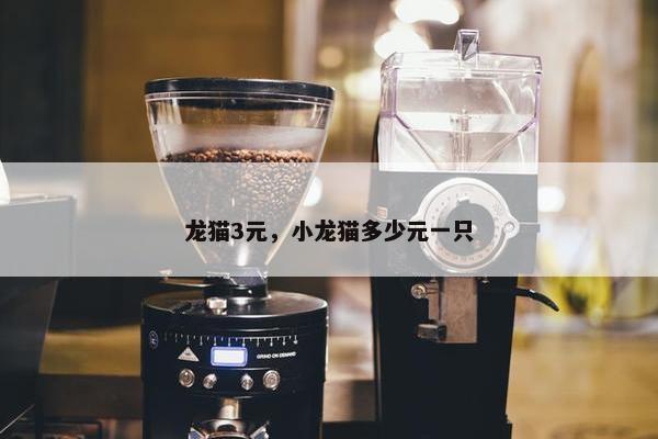 龙猫3元，小龙猫多少元一只