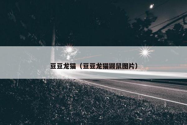 豆豆龙猫（豆豆龙猫鼹鼠图片）