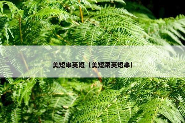 美短串英短（美短跟英短串）