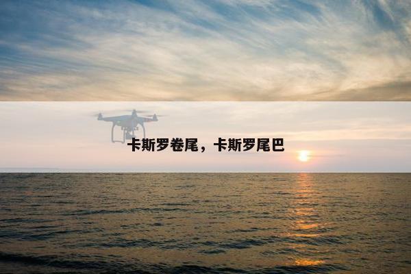 卡斯罗卷尾，卡斯罗尾巴