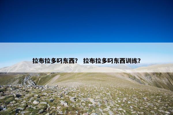 拉布拉多叼东西？ 拉布拉多叼东西训练？