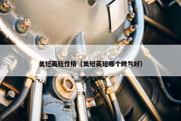 美短英短性格（美短英短哪个脾气好）
