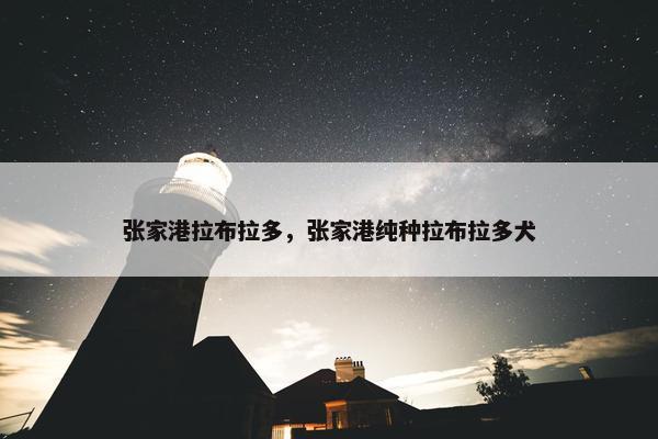 张家港拉布拉多，张家港纯种拉布拉多犬
