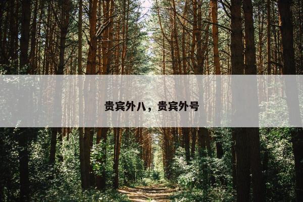 贵宾外八，贵宾外号
