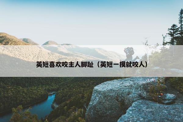 英短喜欢咬主人脚趾（英短一摸就咬人）