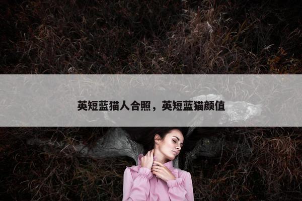 英短蓝猫人合照，英短蓝猫颜值