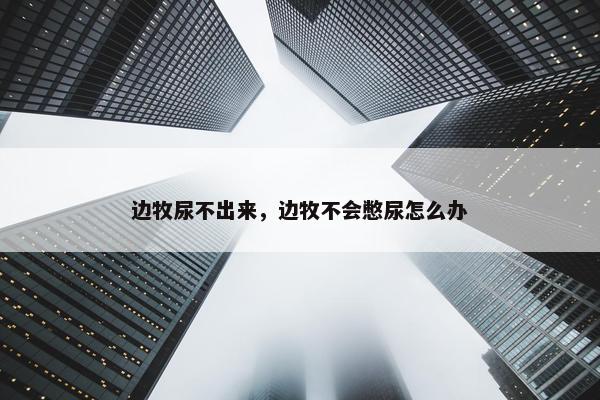 边牧尿不出来，边牧不会憋尿怎么办