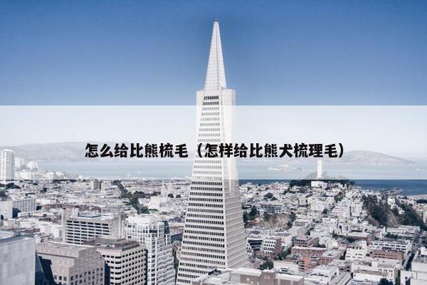 怎么给比熊梳毛（怎样给比熊犬梳理毛）
