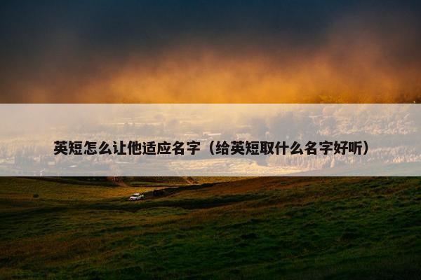 英短怎么让他适应名字（给英短取什么名字好听）