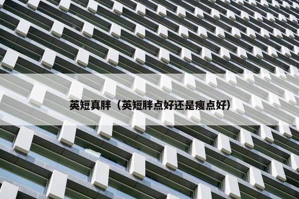 英短真胖（英短胖点好还是瘦点好）