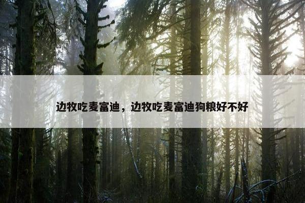 边牧吃麦富迪，边牧吃麦富迪狗粮好不好