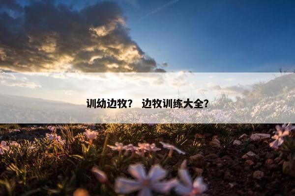 训幼边牧？ 边牧训练大全？