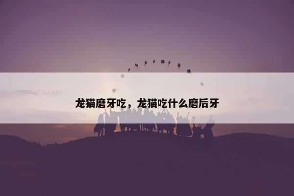 龙猫磨牙吃，龙猫吃什么磨后牙