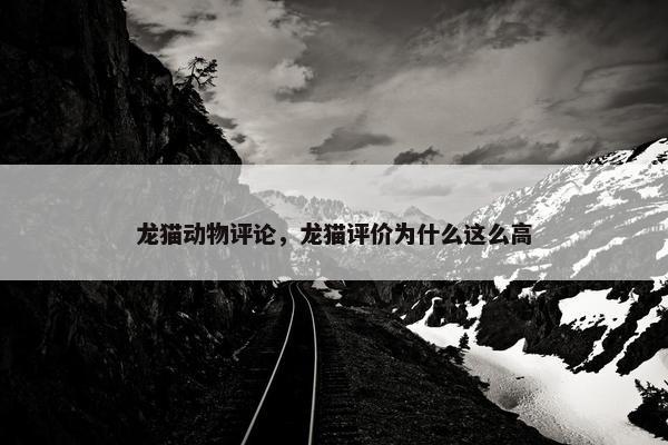 龙猫动物评论，龙猫评价为什么这么高