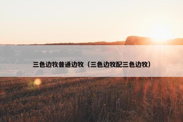三色边牧普通边牧（三色边牧配三色边牧）