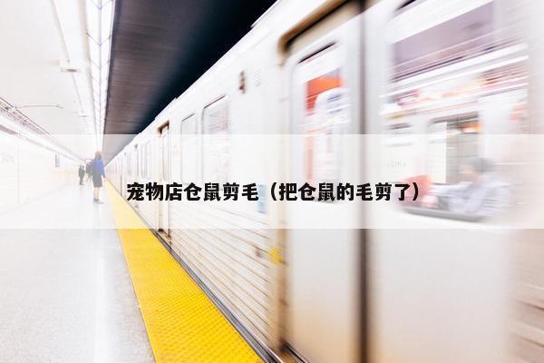 宠物店仓鼠剪毛（把仓鼠的毛剪了）