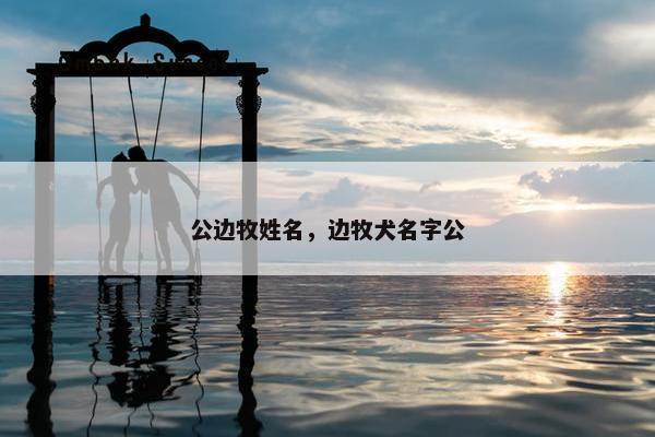 公边牧姓名，边牧犬名字公