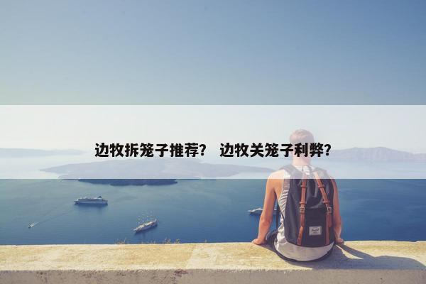边牧拆笼子推荐？ 边牧关笼子利弊？
