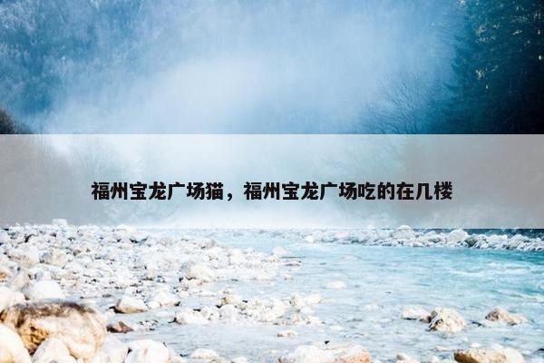 福州宝龙广场猫，福州宝龙广场吃的在几楼