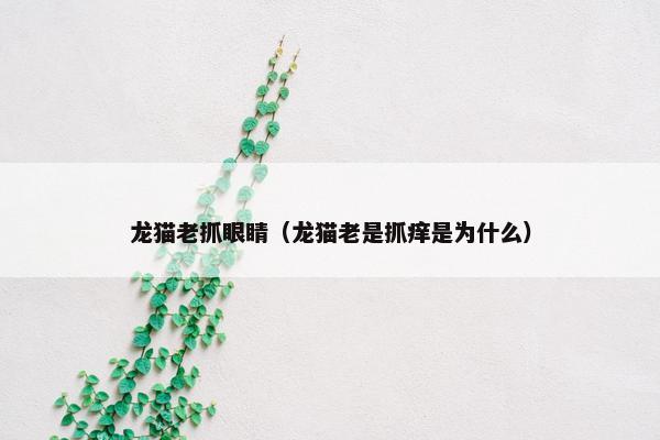 龙猫老抓眼睛（龙猫老是抓痒是为什么）