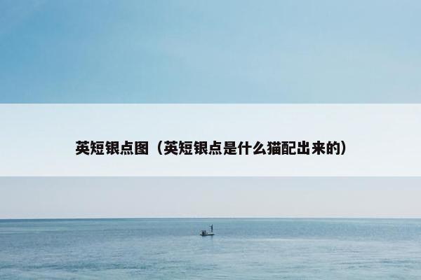 英短银点图（英短银点是什么猫配出来的）