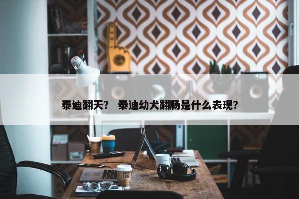 泰迪翻天？ 泰迪幼犬翻肠是什么表现？