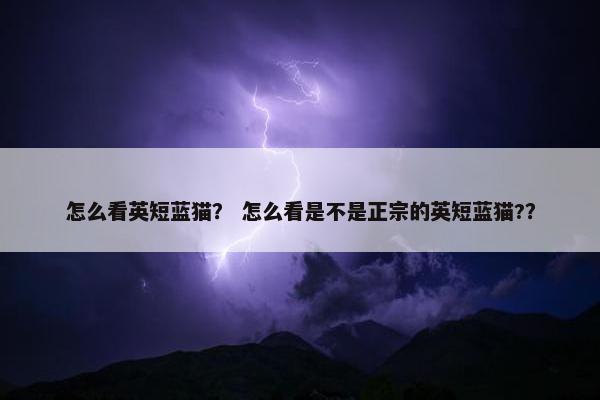 怎么看英短蓝猫？ 怎么看是不是正宗的英短蓝猫?？
