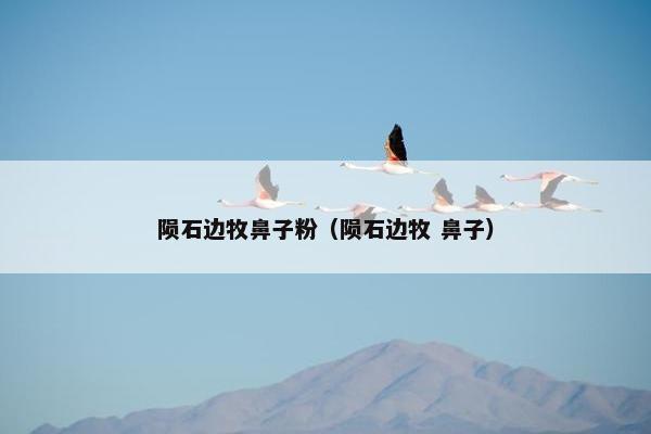 陨石边牧鼻子粉（陨石边牧 鼻子）