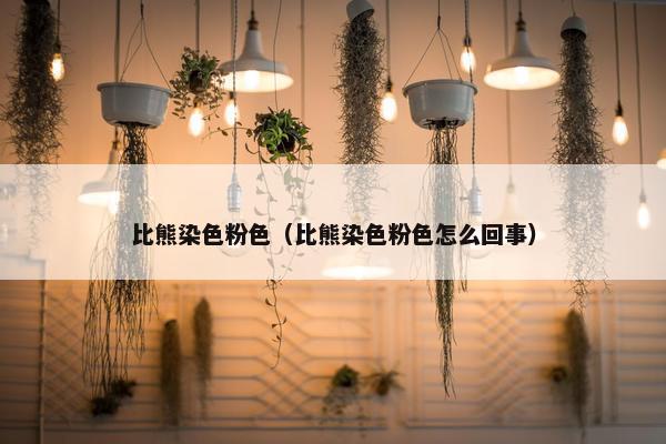 比熊染色粉色（比熊染色粉色怎么回事）